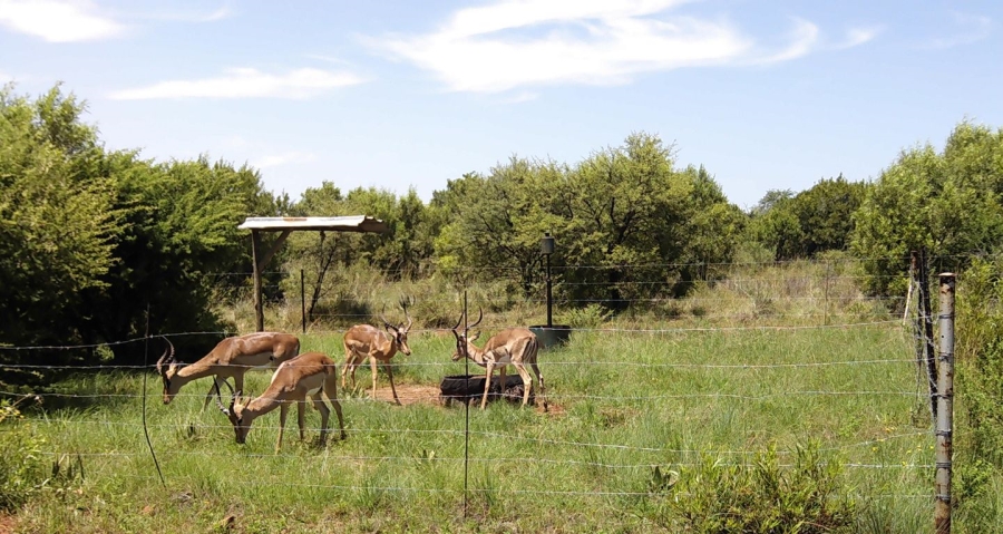 5 Bedroom Property for Sale in Swartruggens North West